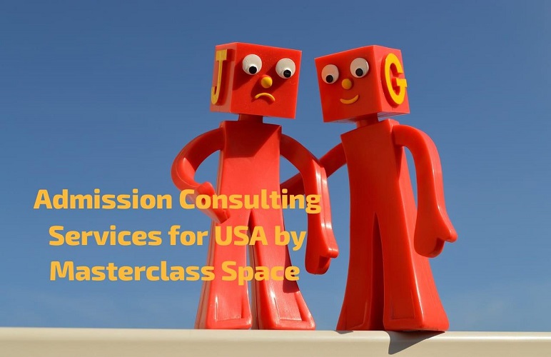 Admission Consulting Services for the US
